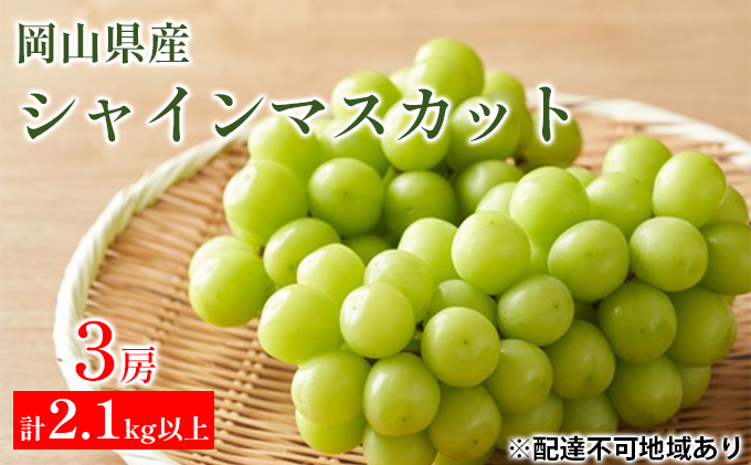 ぶどう 2024年 先行予約 シャイン マスカット 3房 合計2.1kg以上 マスカット ブドウ 葡萄  岡山県産 国産 フルーツ 果物 ギフト