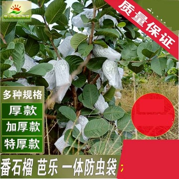 防蟲保護袋 果袋套 水果保護套網包番石榴芭樂網套袋防蟲袋泡沫包裝袋一體專用袋網袋『cyd0755』