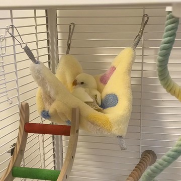 寵物省錢鋪】 鸚鵡窩鳥窩冬季睡窩過冬神器雙層保暖加厚吊牀夾層睡袋懸掛式鞦韆 寵物用品 出貨 鸚鵡睡窩 蜜袋鼯睡窩 鸚鵡床