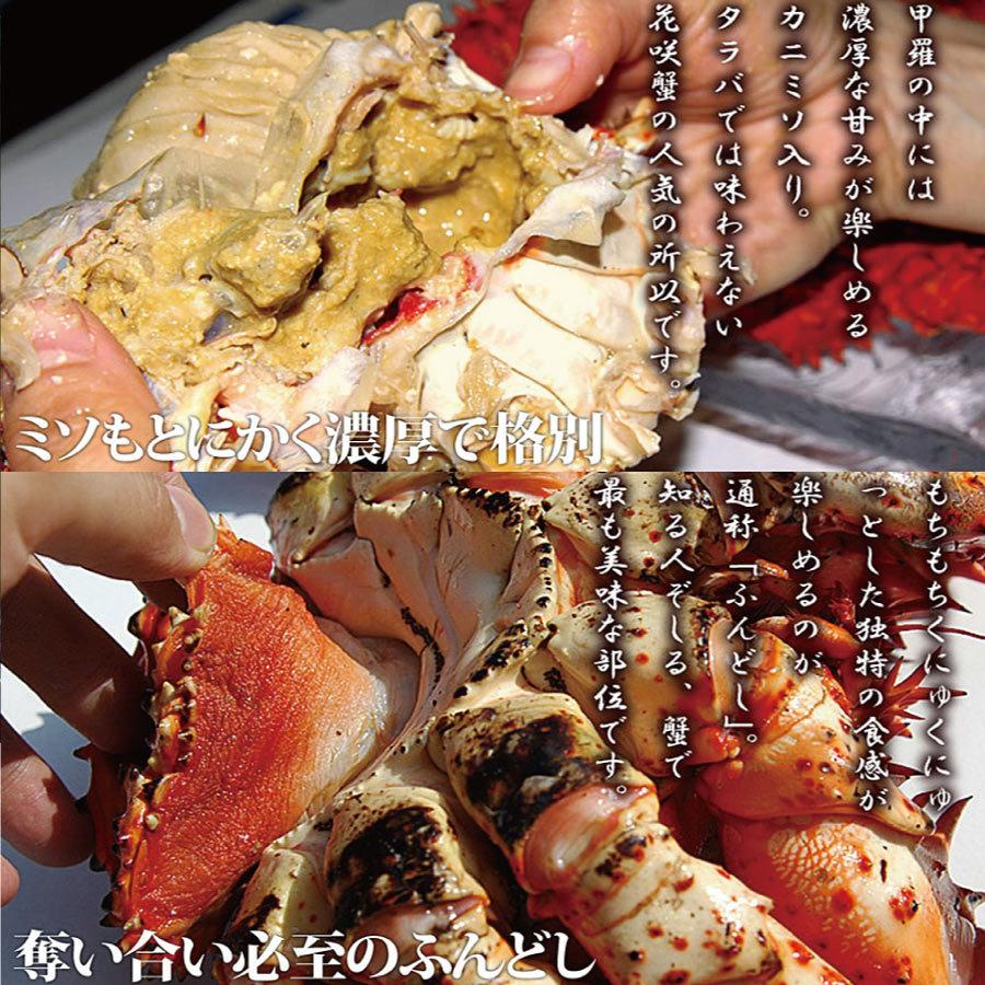 毛ガニ ズワイガニ ハナサキガニ 3大蟹 セット 合計約1.8kg 北海道 ずわい蟹 花咲蟹 毛蟹  食べ比べ 父の日