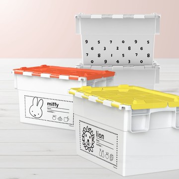 【Pinkoi 獨家】小型收納箱套裝