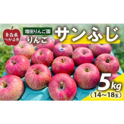 ふるさと納税 青森県 つがる市 [2023年11月下旬より順次発送] りんご サンふじ 5kg (14〜18玉)｜青森県産 津軽 つがる リンゴ 果物 令和5年 [0353]