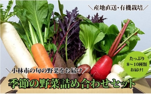 こばやし季節の野菜詰め合わせセット