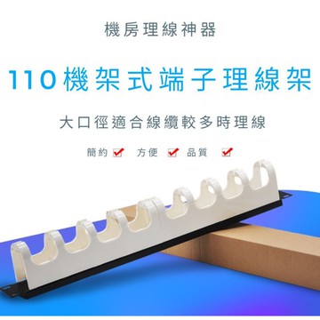 <促銷>110端子理線架 1U理線器 魚骨型 機櫃線槽 電線電纜整線器 白色