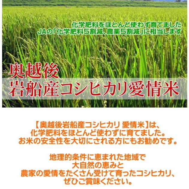 玄米 農薬低減米 コシヒカリ 2kg 米 お米   低農薬 新潟 岩船産 令和5年産 新米   人気 おいしい 新潟米 こしひかり 送料無料