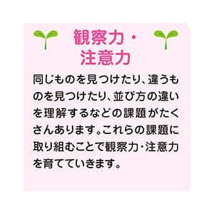 七田式・知力ドリル2・3歳ちえ できるかな