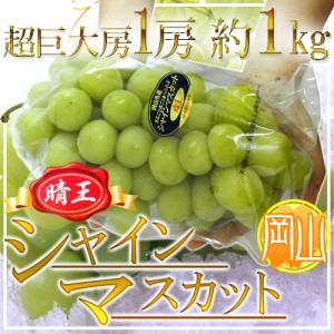 岡山産 ”シャインマスカット「晴王」” 超大房1房 約1kg以上 ぶどう