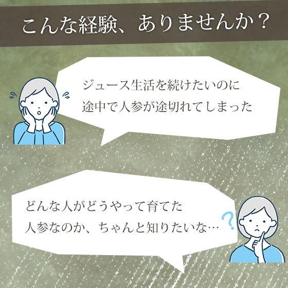 人参 無農薬人参 にんじん ジュース用 訳あり 10kg 国産 ニンジン にんじんジュース ゲルソン療法