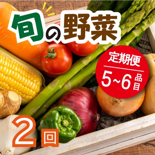 野菜 お楽しみ 定期便 2回 有機野菜 5～6品目 詰め合わせ セット 有機