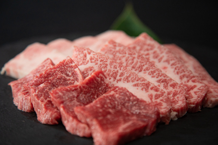  国産 牛肉 宮崎牛 おためし焼肉　500ｇ×１Ｐ（お肉 モモ ウデ すき焼き 焼肉 赤身）