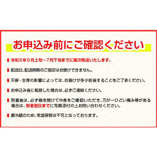 ふるさと納税 宮崎県 日南市 訳あり 数量限定 希少 完熟 マンゴー 鉢植え栽培 計1kg以上 フルーツ 果物 国産 食品 デザート 完熟マンゴー 産地直送 送料無料_C…