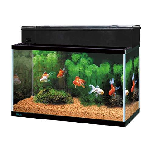 ホットスタイル 送料無料 ジェックス GEX AQUARIUM マリーナ900LED