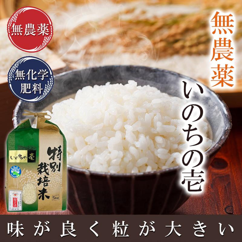 無農薬 米 2kg 無農薬 いのちの壱 令和5年福井県産 新米入荷 送料無料