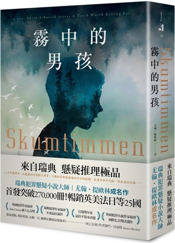 霧中的男孩[二手書_普通]