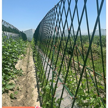 黃瓜爬藤架 西紅柿豆角專用支撐架 菜園種植箱種菜蔬菜攀爬園藝架子