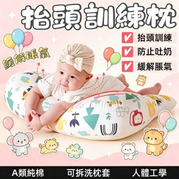 👶台灣出貨👶寶寶抬頭訓練枕 防吐奶抬頭訓練枕 可拆枕頭 嬰兒排氣枕 寶寶趴睡枕 安撫枕 斜坡枕 助寶寶抬頭看世界