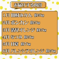 6種のみかんが楽しめる♪みかんの定期便