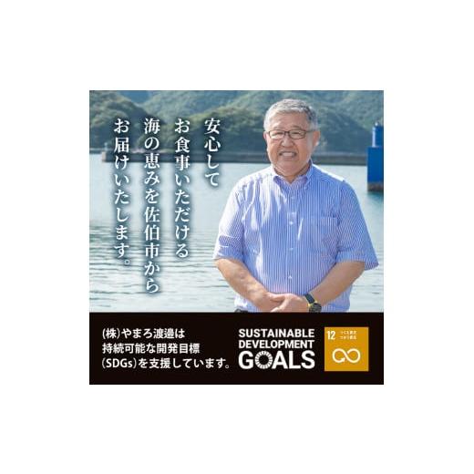 ふるさと納税 大分県 佐伯市 ＜定期便・全3回 (隔月)＞訳あり 干物大満足BOX (40尾以上)