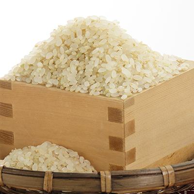 ふるさと納税 大潟村 令和5年度産　特別栽培米あきたこまち　五分づき米2kg
