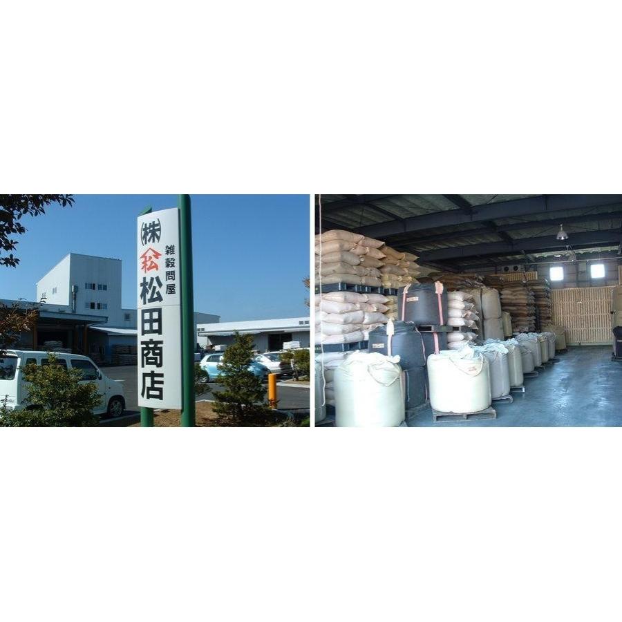 北海道 松田商店 特選 大粒光黒大豆 300g 令和5年産