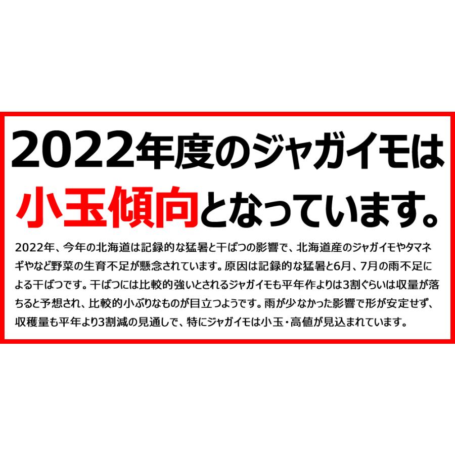 北海道産 じゃがいも 訳あり キタアカリ 10kg (M〜LMサイズ) ご家庭用 きたあかり 馬鈴薯 新じゃが 越冬 野菜 北海道 送料無料 お取り寄せ