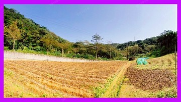 萬里清水溪開心農場⭐️住商謝秀珍⭐️｜新北市萬里區清水路