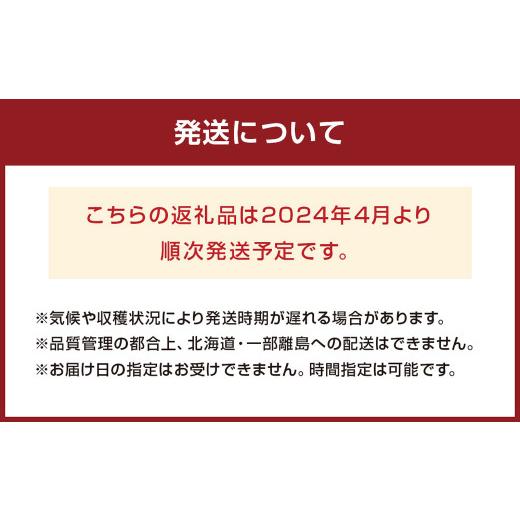 ふるさと納税 福岡県 宗像市 4月発送！「博多あまおう」約280g×4パック_KA0526