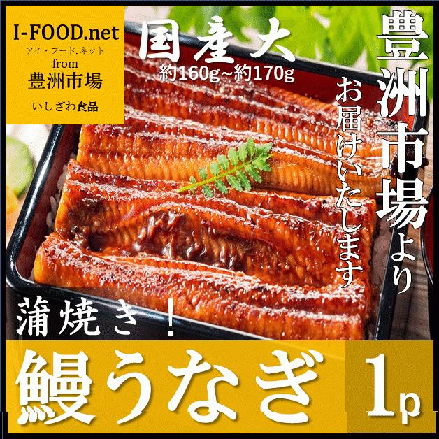 鰻 大サイズ 国産 蒲焼き うなぎ ウナギ 土用の丑 豊洲市場よりお届けいたします 土用の丑の日