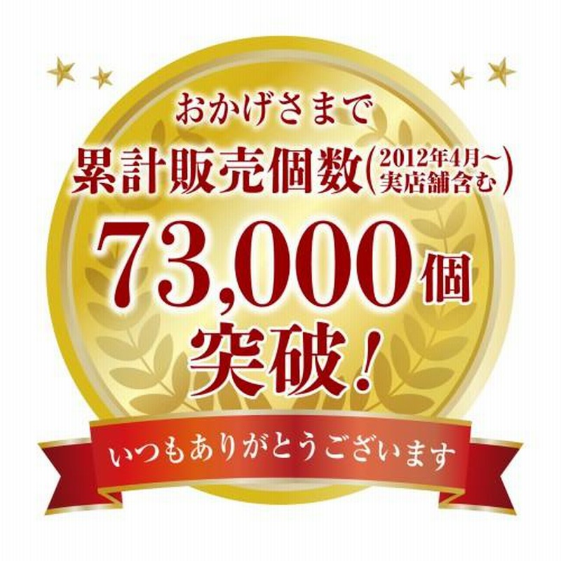 送料無料 クール代込み スペイン産 生ハム ハモンセラーノ ブロック 約450g×2個 約900g アロマイス カワタキ