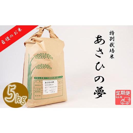 ふるさと納税 岐阜県 垂井町 垂井町産あさひの夢(5kg×6回）