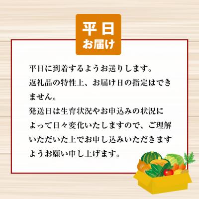 ふるさと納税 淡路市 淡路島の新鮮野菜セット