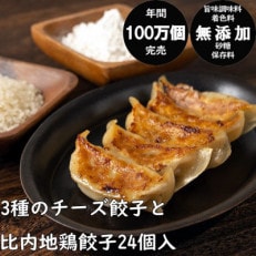 年間100万個完売!餃子の餃天の