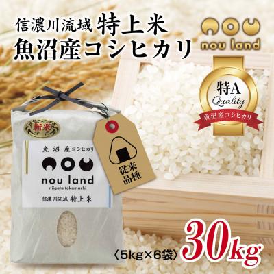 ふるさと納税 十日町市 農家直送 魚沼産 コシヒカリ 従来品種 5kg ×6袋 計30kg 新潟県 十日町市 のうランド