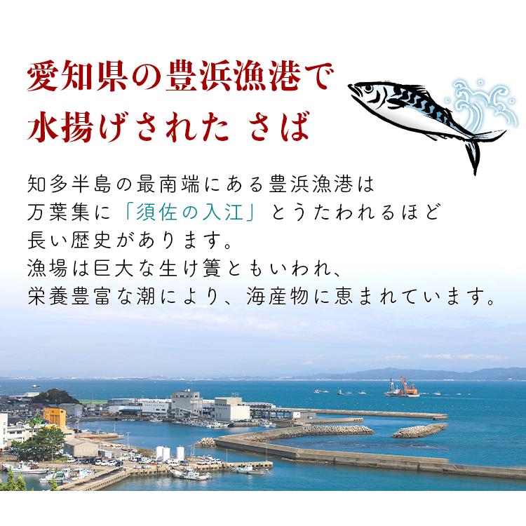 おいしい さばしょうゆ煮 日本自然発酵 150g×1個 食品