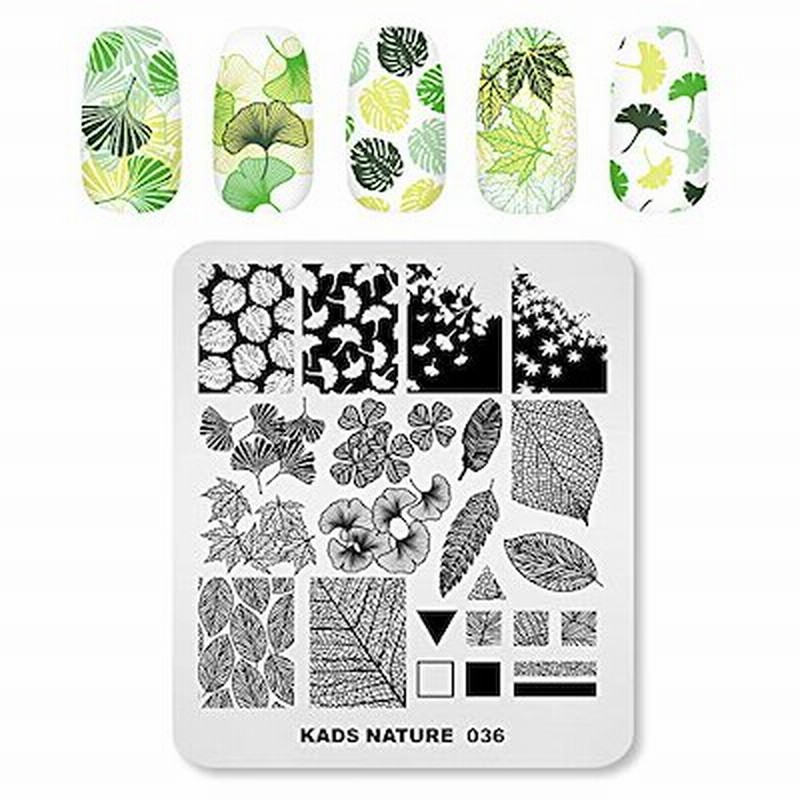 Kads ネイルスタンププレート 楓の葉 スタンピングネイルプレート ネイルステンシル ネイルイメー 通販 Lineポイント最大1 0 Get Lineショッピング