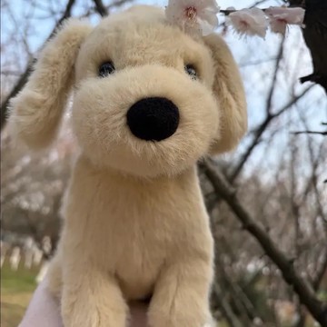 【預購】JELLYCAT 黃金獵犬 小金毛 21cm 毛絨公仔 海外代購保證正版