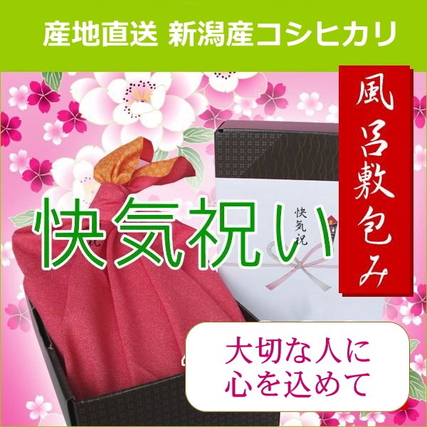 快気祝い 送料無料 米 コシヒカリ 3kg 風呂敷 ラッピング 熨斗無料