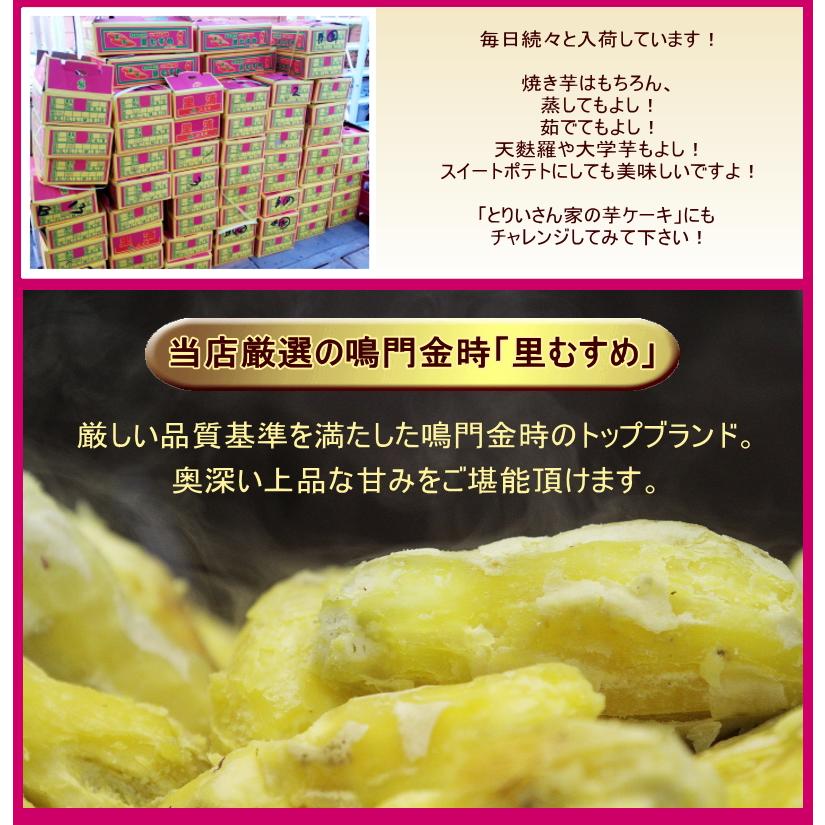 鳴門金時 「里むすめ」さつまいも  送料無料 国産　Ｌサイズ／５Kg