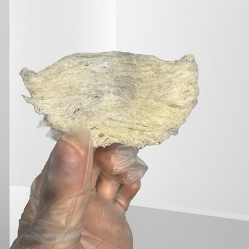 中秋送禮 孕媽咪 伴手禮【大燕條】(50克)