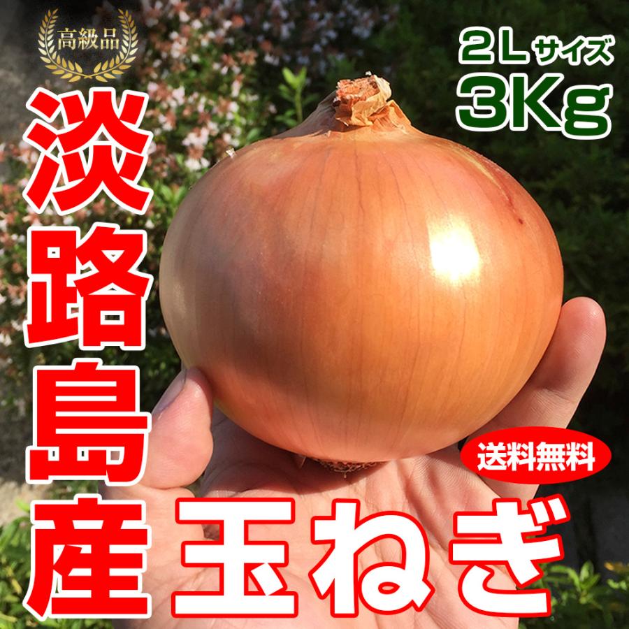 最高品質 淡路島産 玉ねぎ 2Lサイズ 3kg [割引ショップスタンプ付]