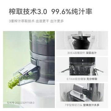 olayks立時榨汁機汁渣分離原汁機家用全自動渣汁慢磨大口徑榨果汁