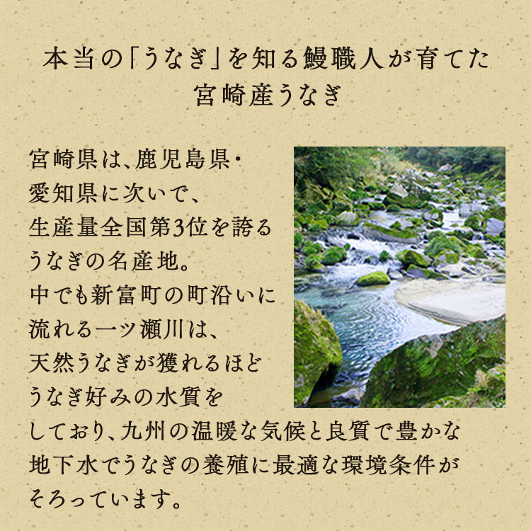 お歳暮 ギフト プレゼント 鰻 蒲焼き うなぎ 2尾 化粧箱付き 真空パック 国産 宮崎県 ウナギ ひつまぶし 2本セット