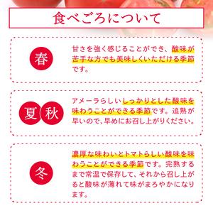 ふるさと納税 a10-371　アメーラ トマト 高糖度 トマト 産地 直送 化粧箱入 静岡県焼津市