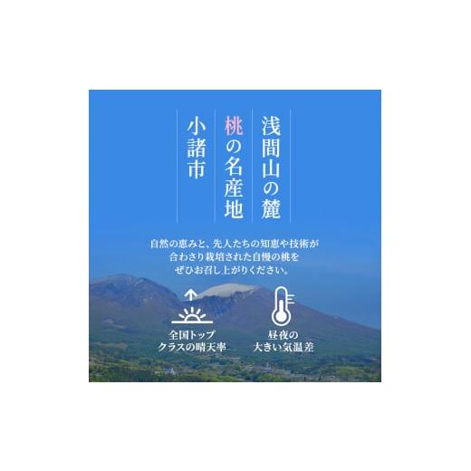 ふるさと納税 長野県 小諸市 2024年発送 先行予約 浅間水蜜桃 みつおかの もも 川中島白桃 秀品 約5kg 長野県産 小諸市 桃 [No.5915-0503]