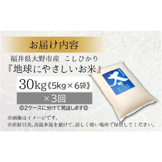 ふるさと納税 福井県 大野市 こしひかり 30kg × 3回 計 90kg