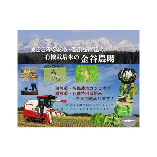 ふるさと納税 新潟県 上越市 新潟県産ＪＡＳ有機栽培米コシヒカリ　玄米５ｋｇ