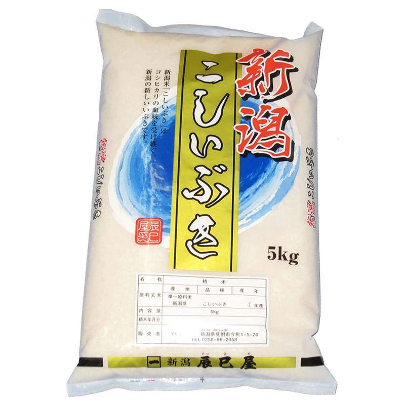 精米令和4年産 新潟県産こしいぶき 白米 5kg 新潟辰巳屋