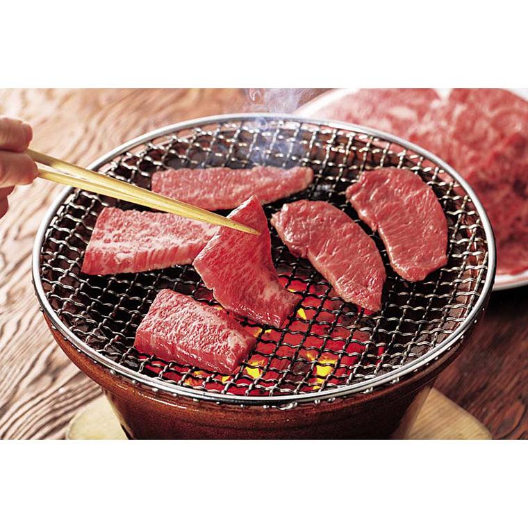 宮崎 宮崎牛 焼肉 （モモ・バラ）500g 牛肉   お取り寄せ お土産 ギフト プレゼント 特産品 お歳暮 おすすめ  