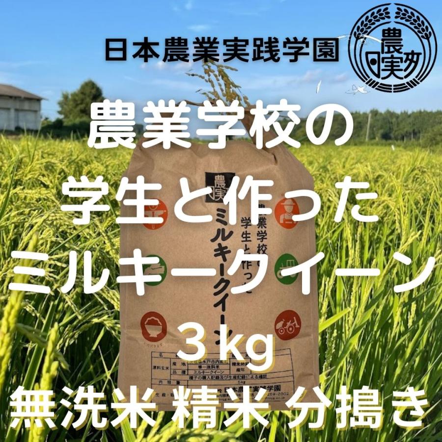 農業学校が作ったミルキークイーン3kg　無洗米　白米　精米　7分づき　3分づき　精米したて　 米