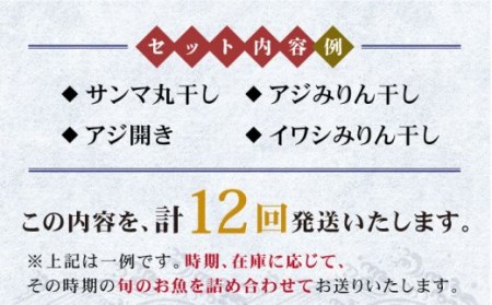 旬の海産物セットA     干物 ひもの みりん干し アジ イワシ サンマ 詰め合わせ 定期便 [JCY011] 108000 108000円